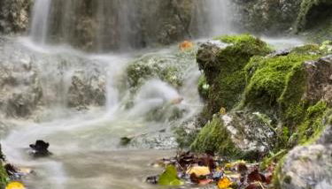 La central de Azparren, junto a la Selva de Irati - Foto 5