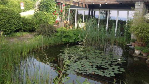 Ferienhaus am Litzelberg FWO-194-2024 - Photo 4