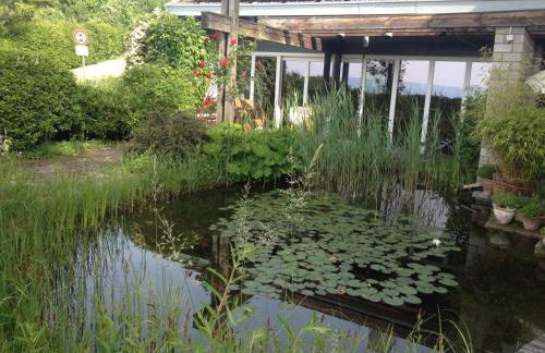 Ferienhaus am Litzelberg FWO-194-2024 - Photo 4