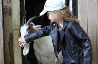 City Apartment Bischofswerda Holliday and Work - Foto 15