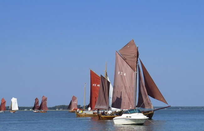 Ferienhaus Waldblick - Foto 22