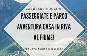 Casolare Puccini - Foto 33