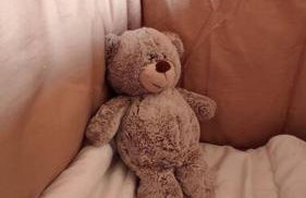 La casa del fresno - Foto 27