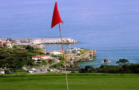 Las endrinas - Foto 15