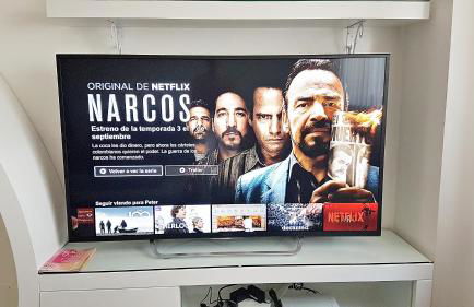 Salamanca Frog - Foto 30