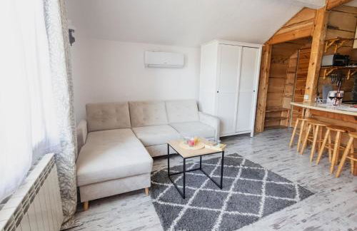 Apartamenty pod Kicarzem - Foto 11