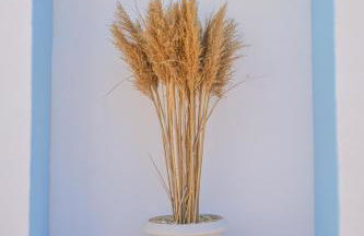 nikola's house - Foto 43