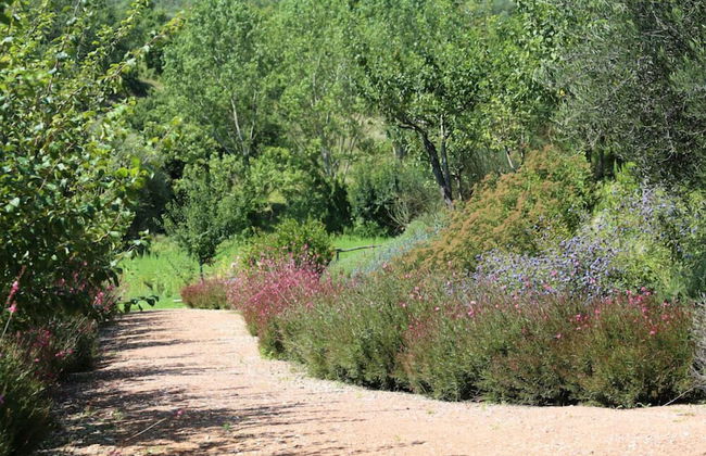 Verdidea - Podere della Bruciata - Foto 74