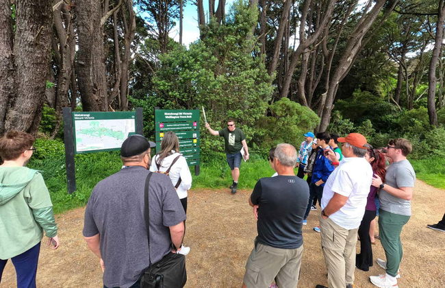 Tour por los escenarios de El Señor de los Anillos - Foto 2