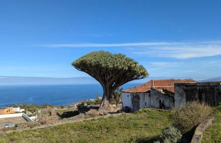 Apartamento Renovado "Hogar Las Vistas" - Foto 80