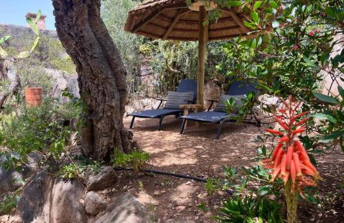 Villa LILY BAY baie de Santa Giulia-Porto Vecchio - Foto 34