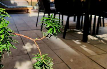 Hôte Stéphanois Studio & parking - Foto 16