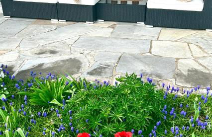 Luxury Apartment Munich South - Foto 21