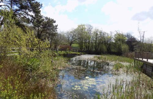 2-bed Cottage, Sleeps 5, Pets Ok, Close to Coast - Foto 90