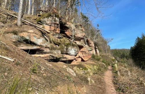Ferienwohung am Felsenwanderweg im Pfälzerwald - Foto 14
