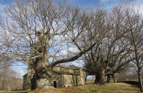 DÚPLEX SANABRIA - Foto 35