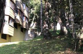 Lof Araucárias próx Rua Coberta by Achei Gramado - Foto 41