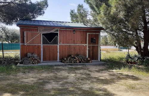 Casa do Pinheiro - Foto 12