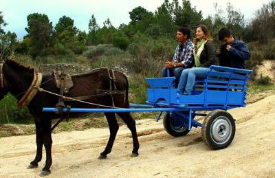 Quinta da Alma Cheia - Foto 20