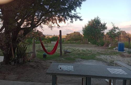 Chácara Raízes - Photo 13