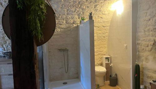 Voute des anges type loft sans cloison - Foto 5