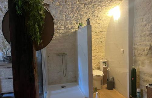 Voute des anges type loft sans cloison - Foto 5