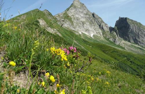 Edelweiß Hörnerbahnen von Mai bis Oktober frei - Photo 12