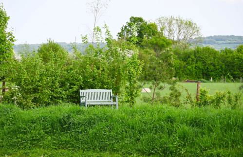 Bluebell Cabin - Foto 46