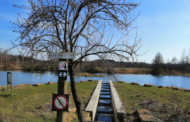 Nice Chalet by the Woods in Saint-leger - Photo 41