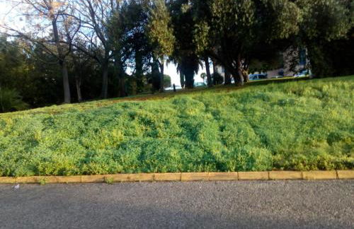 Casa Sevilla - Foto 19