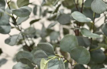 Spacious Center City 3BR 4BA with Arcade - Sleeps 8 - Foto 24