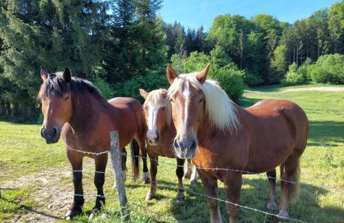 Ferienwohnung im Blockhausstil - Foto 8