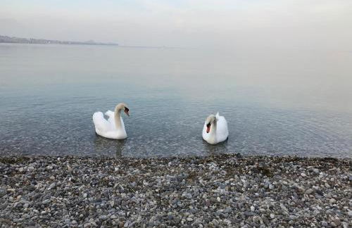 La Giolosa Gardapartments - Foto 55