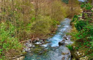 Grande maison cévenole authentique - Foto 9