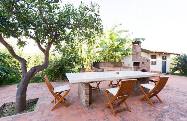 Orange Park - Photo 28