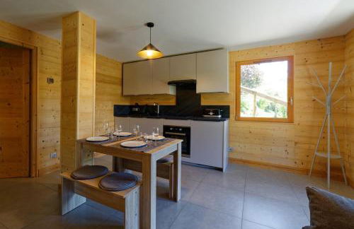 Logement 3 étoiles avec vue imprenable sur les montagnes, ski bus - Photo 29