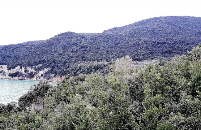 Dionysos Luxury Villa - Foto 43