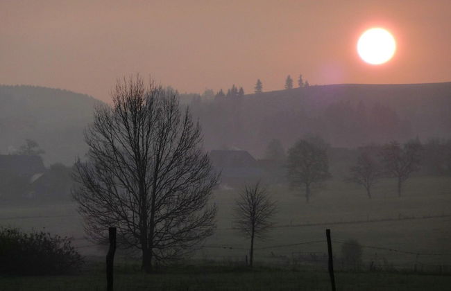 Ferienhaus Schmallenberg Nahe Skibus - Foto 38