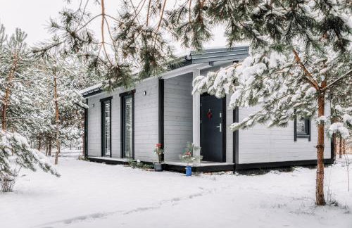 Sosnowy Raj domki nad rzeką Wkrą - Foto 1