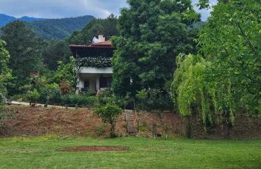 Koti Mountain House - Photo 1