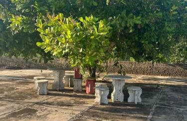 Sítio zona rural de Teresina - Foto 59