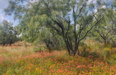 Gorgeous, secluded escape near River with Game room! - Photo 40