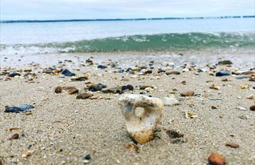 Marina Studio - Photo 10