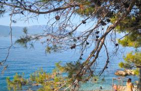 Apartment LIPA - Foto 25