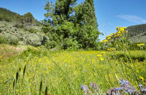 Cortijo el Soto - Foto 9