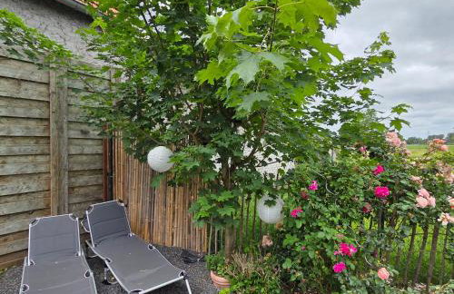 Ferienhaus Feldharmonie - Foto 4