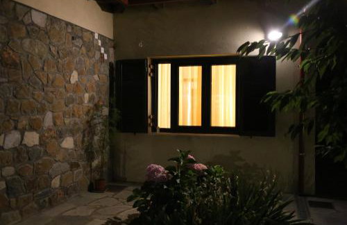 Boletus MushROOM - Foto 29