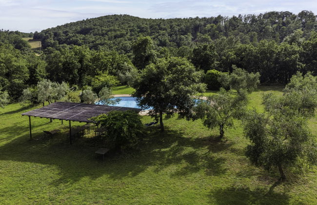 Il Piccione - Foto 64