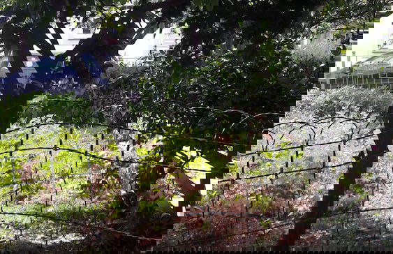 Sonnenvilla Milka - Photo 46