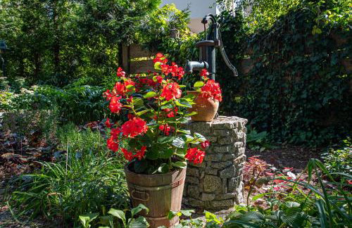 Całoroczny dom wakacyjny - Foto 34